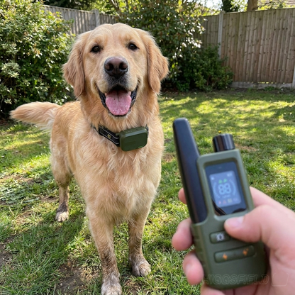 PawWise™  Smart Training Collar